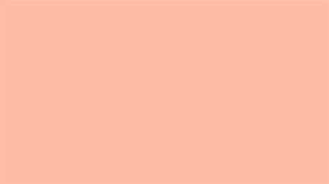 Pantone Tpx Peach Nectar Color Hex Color Code Ffbba