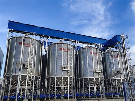 Peanut Hopper Bottom Silo An Intelligent Storage Solution