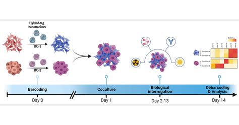 Hybrid Fluorescent Mass Tag Nanotrackers As Universal Reagents For Long