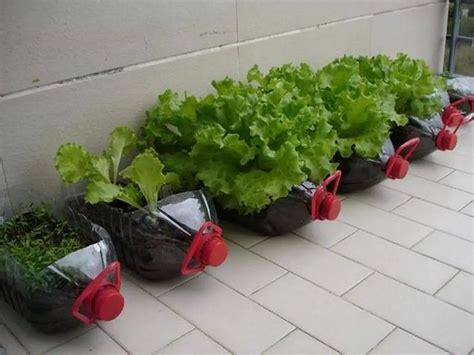 Awesome Diy Plastic Bottle Planters 3 Easy Steps Craft Projects For