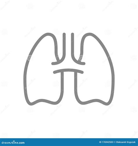 Lungs Line Icon Symmetric Organ Of Human Chest Anatomy And Biology