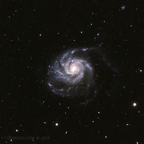 The Pinwheel Galaxy M T V Higgins Photography Unbounded