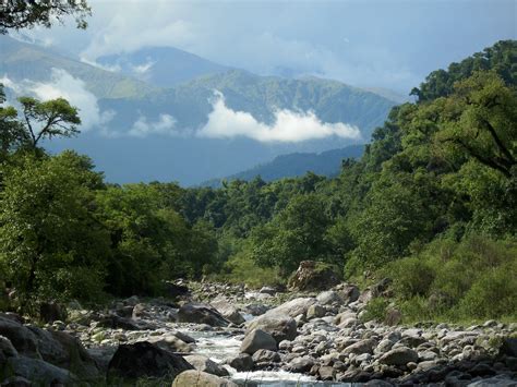 Biodiversidad Argentina Gob Ar