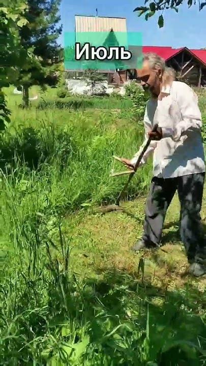 Коса-литовка - YouTube