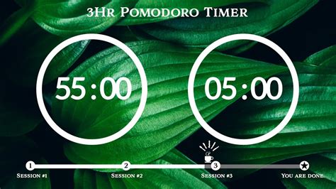 55 Minute Pomodoro Timer 🌲forest Sound 숲 Asmr 📚3 Hour Study ⏱pomodoro