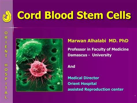 PPT - Cord Blood Stem Cells PowerPoint Presentation, free download - ID ...