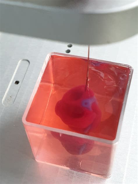 Scientists Make World S First 3D Printed Heart Using Human Cells