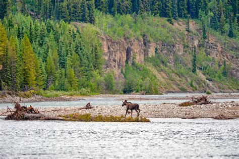 British Columbia Interior