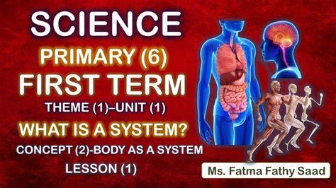 Science Primary 6 First Term Unit 1 Concept 2 Lesson 1 Youtube