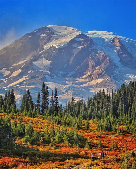 Mount Rainier National Park In Seattle, Washington, USA 🇺🇸 : r/imgshot