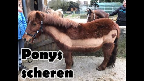 Ponys Scheren Regenbogen Ponyland Youtube