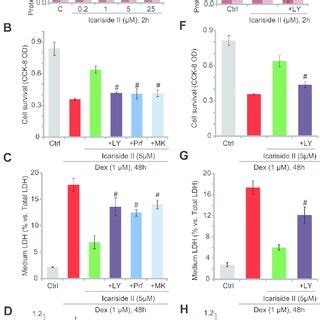 Akt Activation Is Required For Icariside Ii Induced Osteoblast