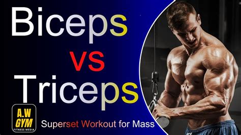 Biceps And Triceps Superset Workout For Mass A W Gym Fitness Media Youtube