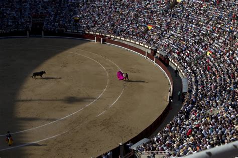 De Verdad El Toreo Es El Segundo Espect Culo Con M S P Blico De Espa A