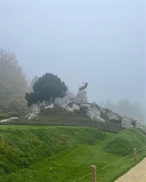 Commémoration de la bataille de Beaumont Hamel Le blogue de