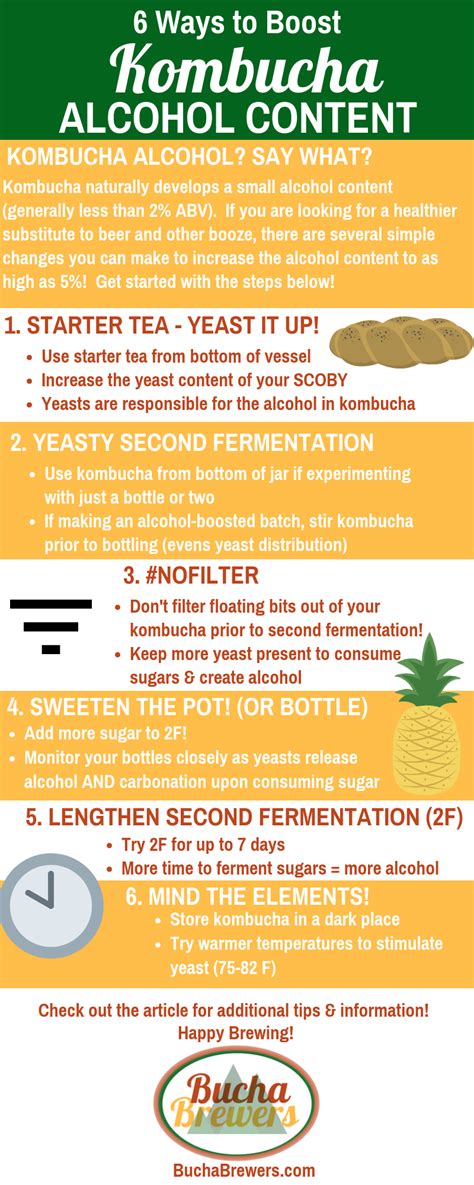 Kombucha Alcohol: How to Increase Kombucha Alcohol Content - Bucha Brewers