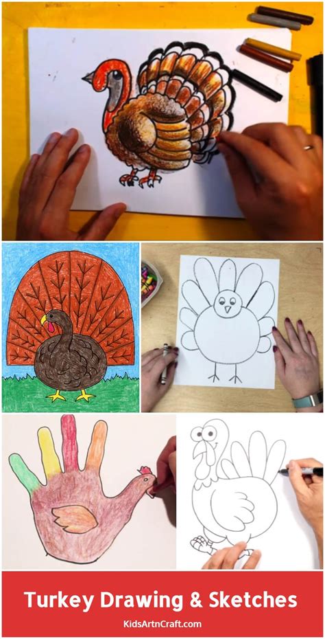 How To Draw A Turkey Step By Step For Kids