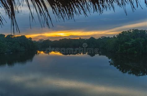 Amazon Rainforest Sunrise Reflection Stock Image - Image of cuyabeno ...