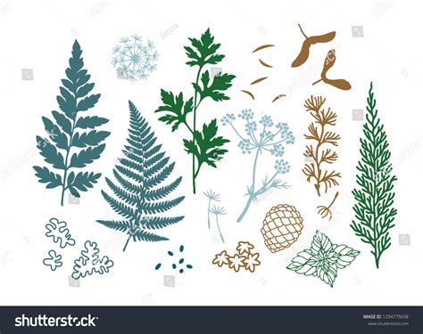 8,892 Moss Drawing Images, Stock Photos & Vectors | Shutterstock