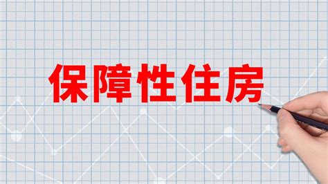 开新局 谋新篇·住房保障——努力实现全体人民住有所居 人邦科技