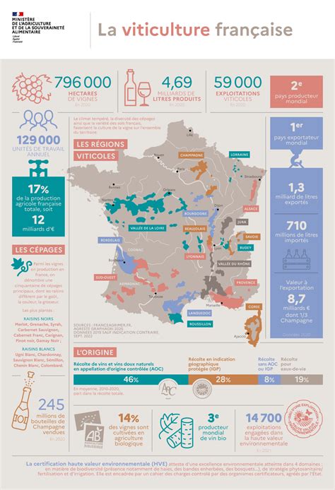 Les Infographies