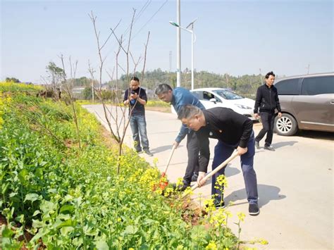 常德市第四人民医院开展春季植树活动 医院汇 丁香园