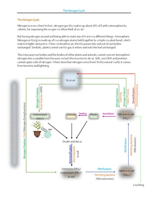 Nitrogen | PDF | Ammonium | Nitrate