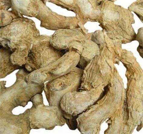 Sonth Sounth Dried Dry Ginger Raw Herbs सोंठ Sunthi Zingiber Officinale Jadi Booti At Rs 138000