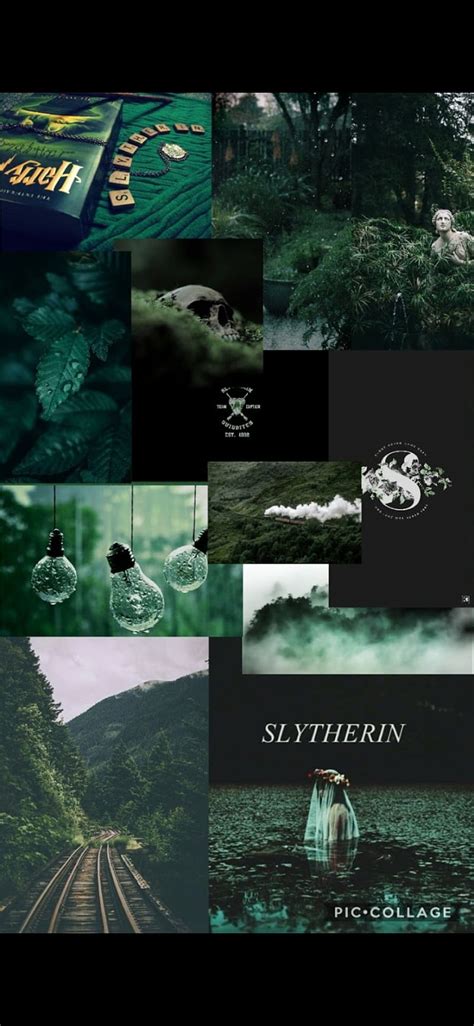 Slytherin Broken Dark Draco Harry Potter Outdoors Slytherin Twin