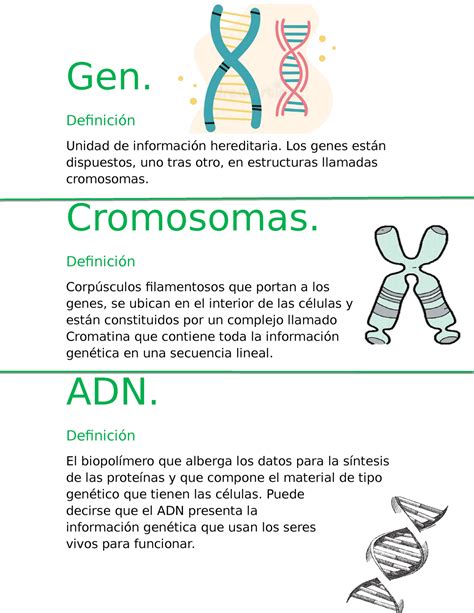 Apuntes Gen Definici N Unidad De Informaci N Hereditaria Los Genes