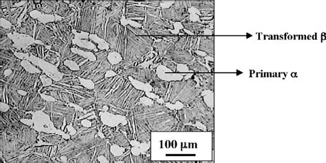 Bimodal microstructure of IMI-834 titanium alloy. | Download Scientific ...