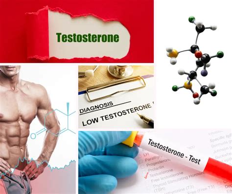 14 Ways Low Testosterone Affects Mens Health Secondmedic