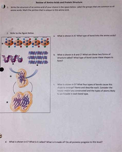 Solved Review of Amino Acids and Protein Structure 1. Write | Chegg.com 