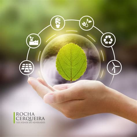 Sustentabilidade tipos e importância para as empresas em 2023