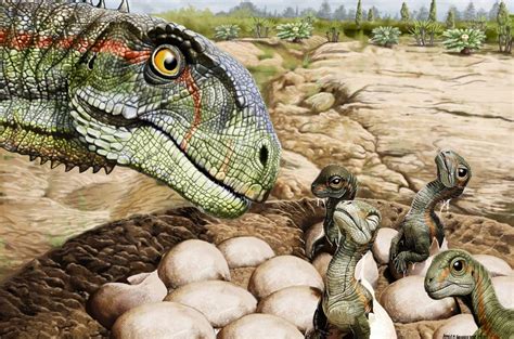 Blandos O Duros El Enigma De Los Huevos De Dinosaurios