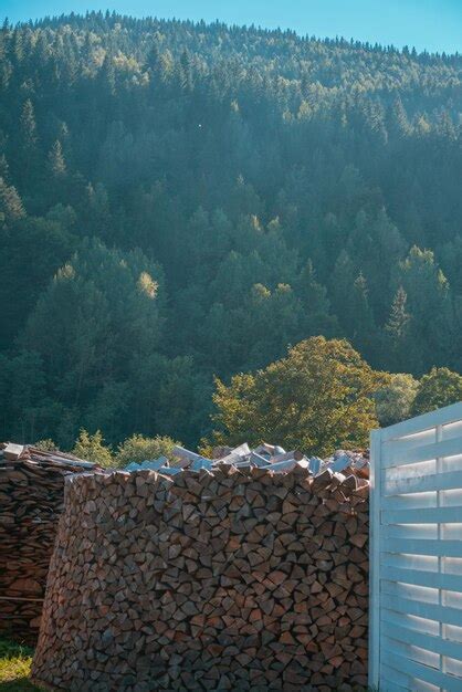 Premium Photo Two Rounded Heaps Of Woodpile On A Big Green Meadow In