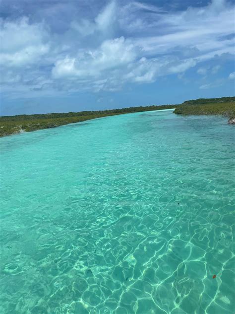 Florida Keys: Your Next Tropical Getaway – Nauti Mesa