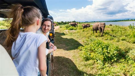 9 Consejos Para Hacer El Mejor Safari Por África