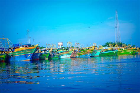 Best Mangrove Forest Boating In Pondicherry Pondy Marina Boat House