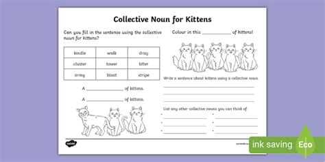 Collective Noun Kittens Worksheet Teacher Made Twinkl