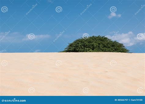 Las Ondas En Las Dunas De Arena En Chaves Varan A Praia De Chaves En