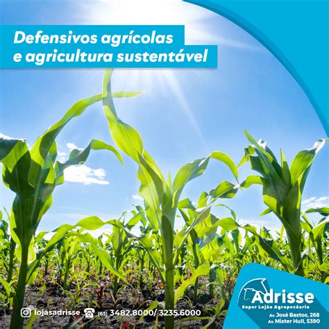 Adrisse Defensivos Agrícolas E Agricultura Sustentável