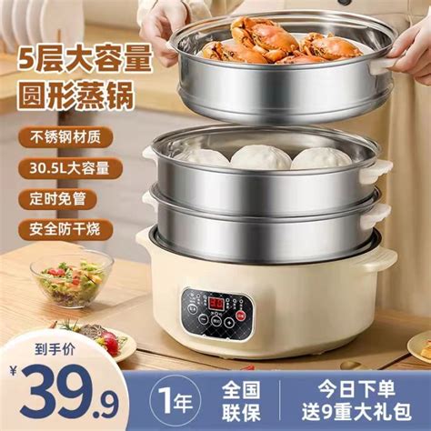 Electric Steamer Multi Functional Household Large Capacity Reservation