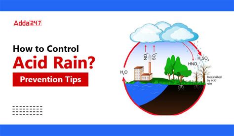 How To Control Acid Rain Read Prevention Tips