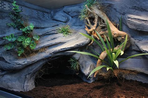 TERRARIUM DLA ŻÓŁWIA STEPOWEGO 4 Tropical Terra Terraria na zamówienie