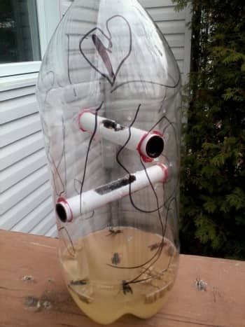 DIY Wasp and Hornet Trap with Two-Liter Pop Bottle