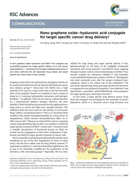 PDF Nano Graphene Oxidehyaluronic Acid Conjugate For Target Specific