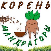 Корень Мандрагоры — купить товары Корень Мандрагоры в интернет-магазине ...