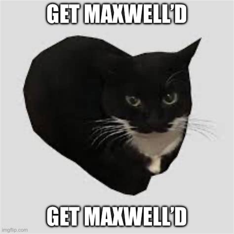 Get Maxwelld Imgflip