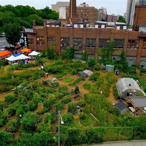 Profile New Roots Bronx Community Farm Farmers Market Coalition